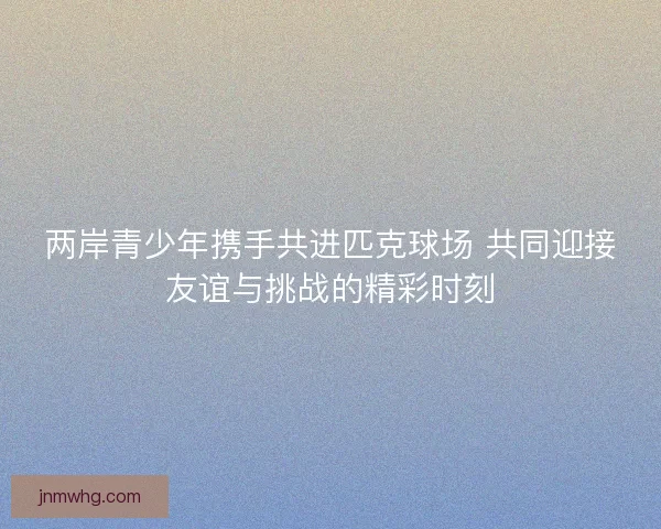 两岸青少年携手共进匹克球场 共同迎接友谊与挑战的精彩时刻